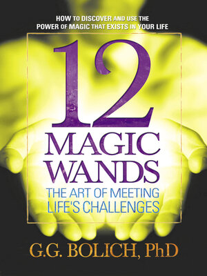 cover image of 12 Magic Wands
